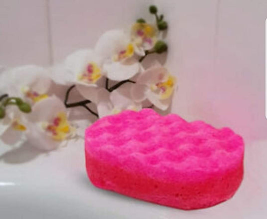 Soap Sponge